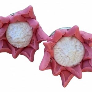 Protea Pink - Studs